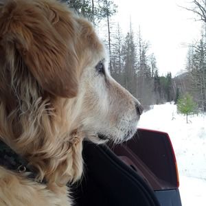 Meet your Posher, Sage